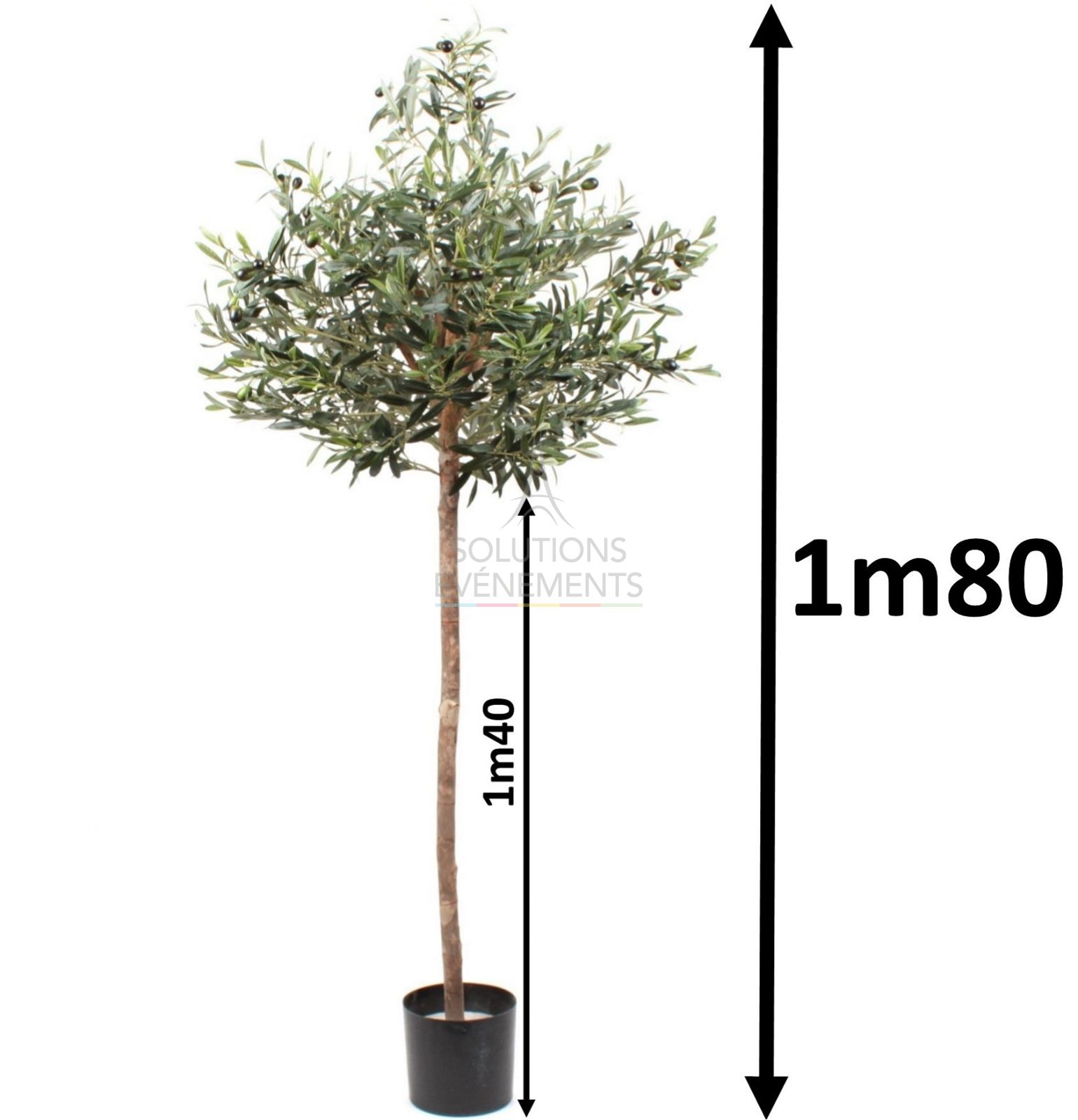 Rental of an artificial olive tree