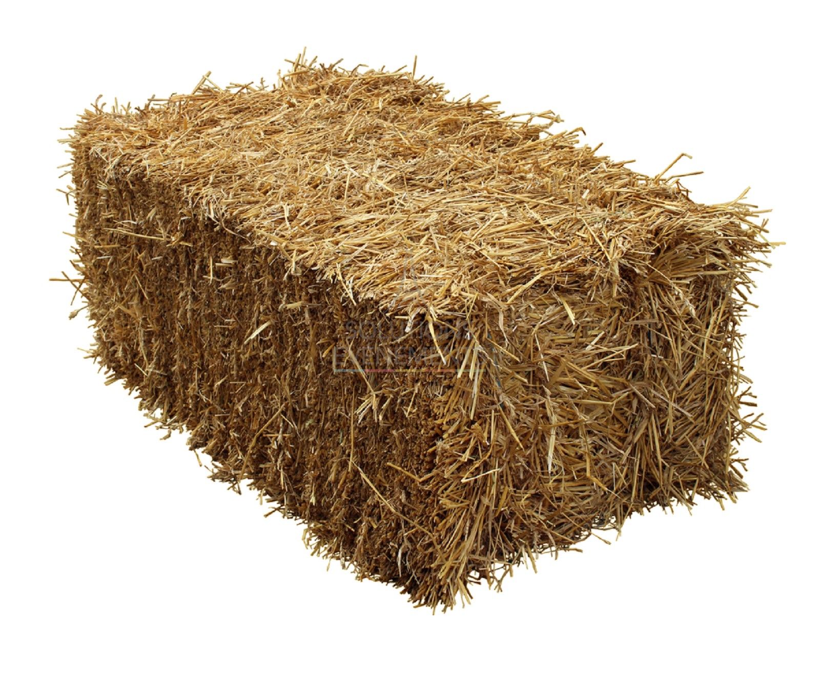 Straw bale rental for outdoor events