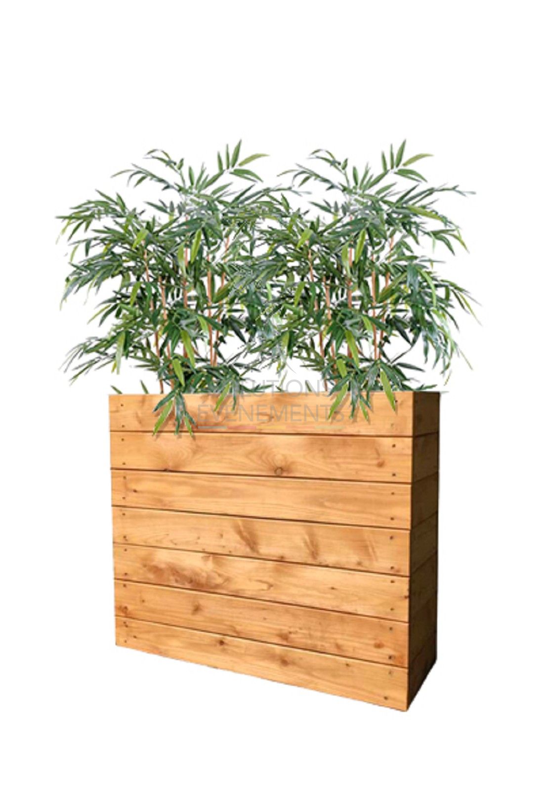 Rental of wooden and bamboo planters