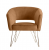 Rental brown velvet armchair with gold legs