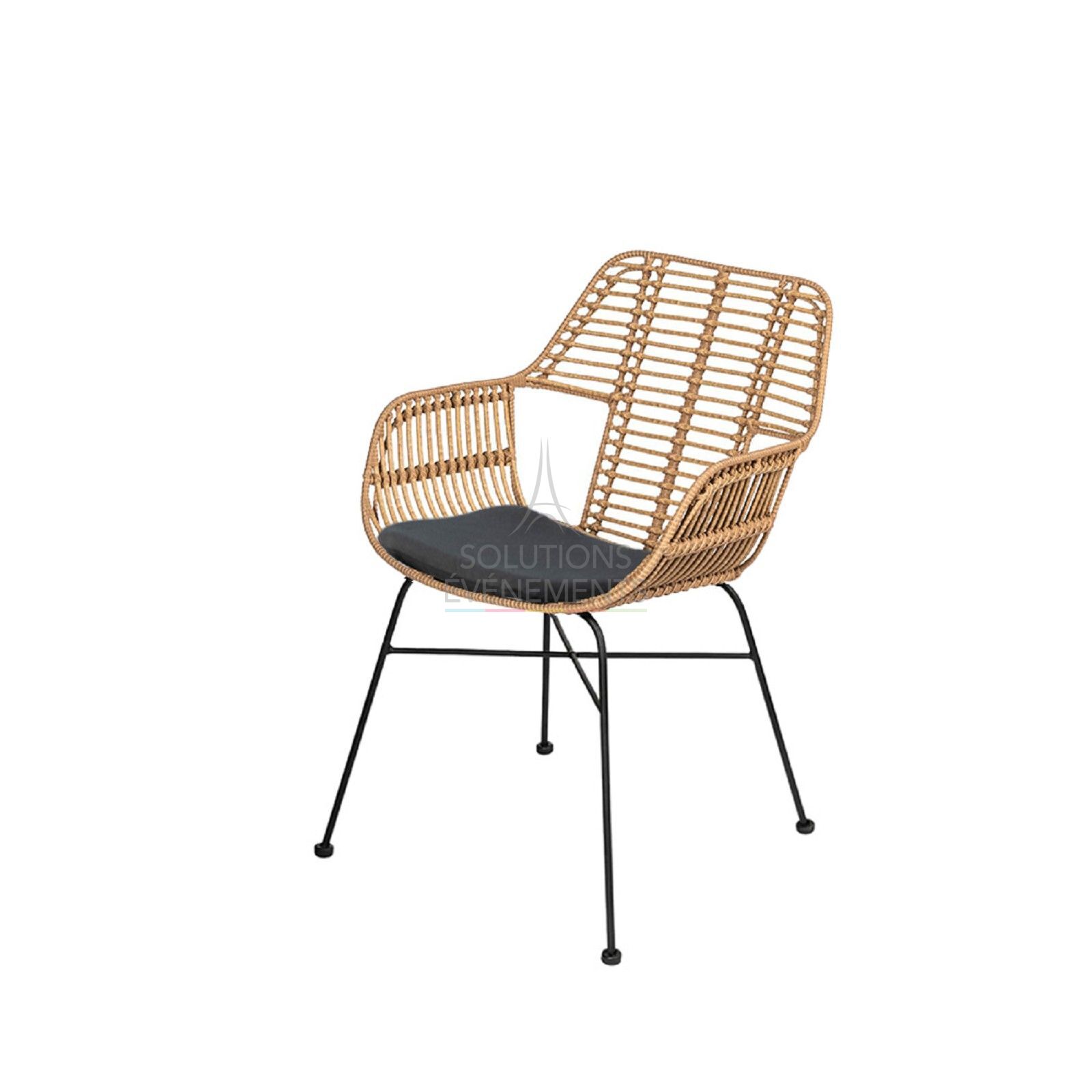 Rental Palm Rattan Armchair with cushion