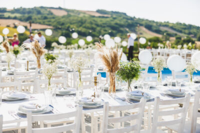 Wedding table set up in boho style with pampas grass near to vineyard.