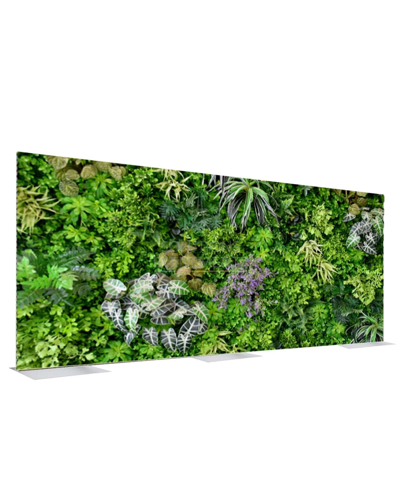 Rental of plant backdrops for your events
