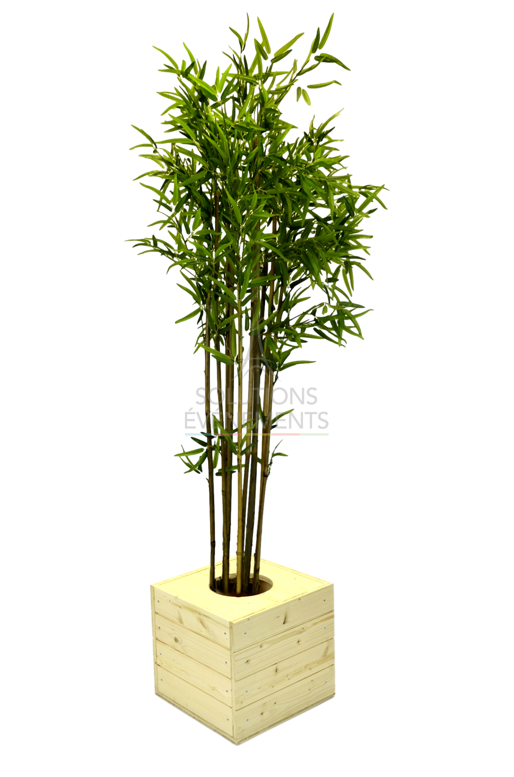 Rental of eco-responsible bamboo wooden planter for decoration