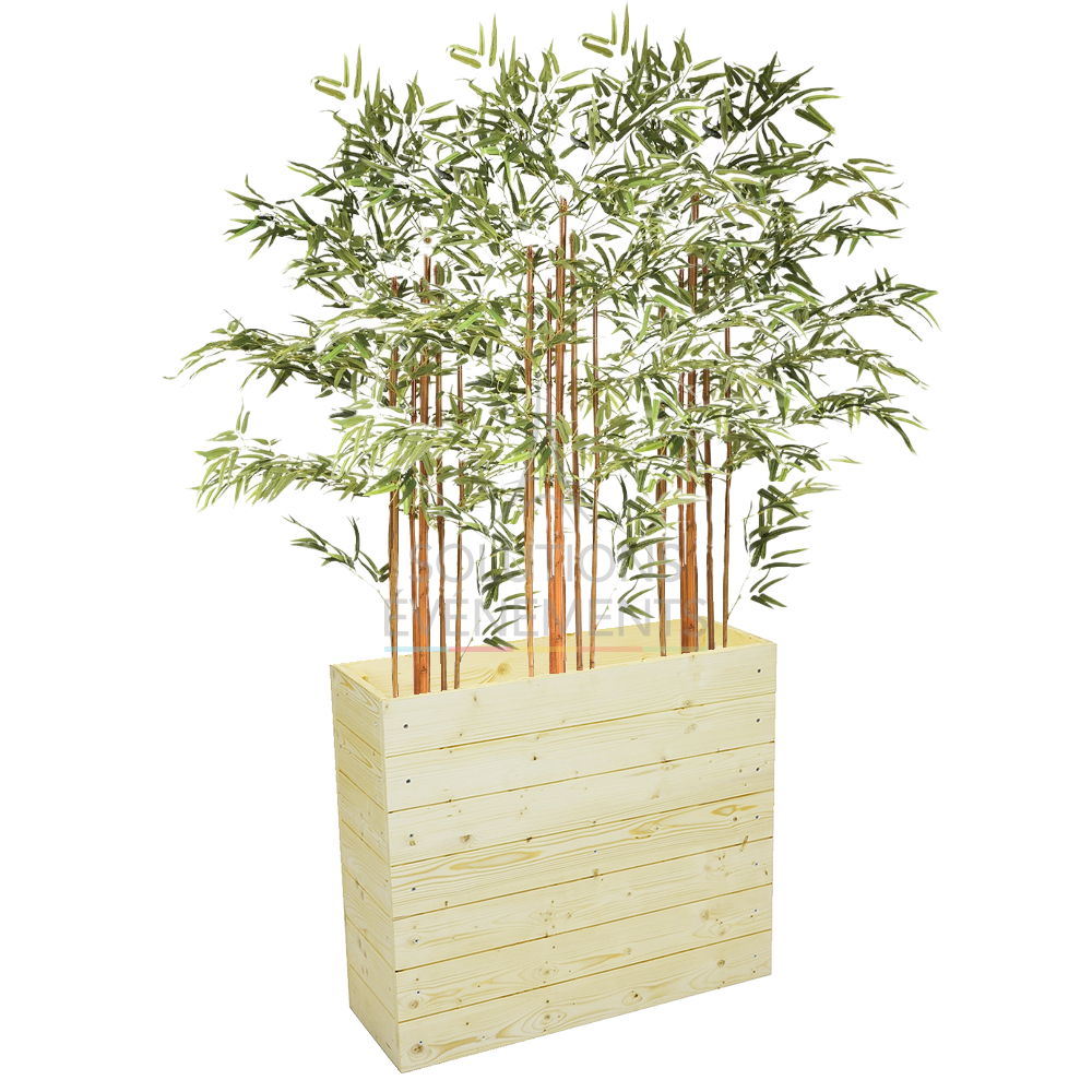 Rental of wooden and bamboo planters