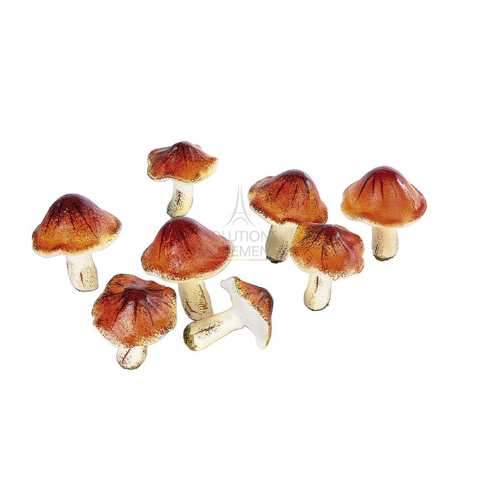 Rental of fake mushrooms