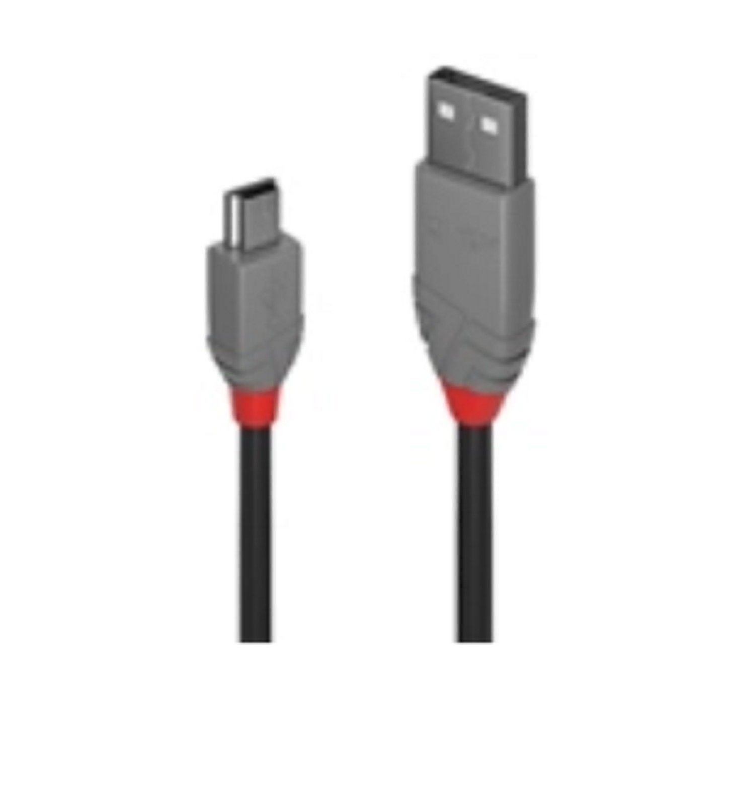 Mini USB cable rental