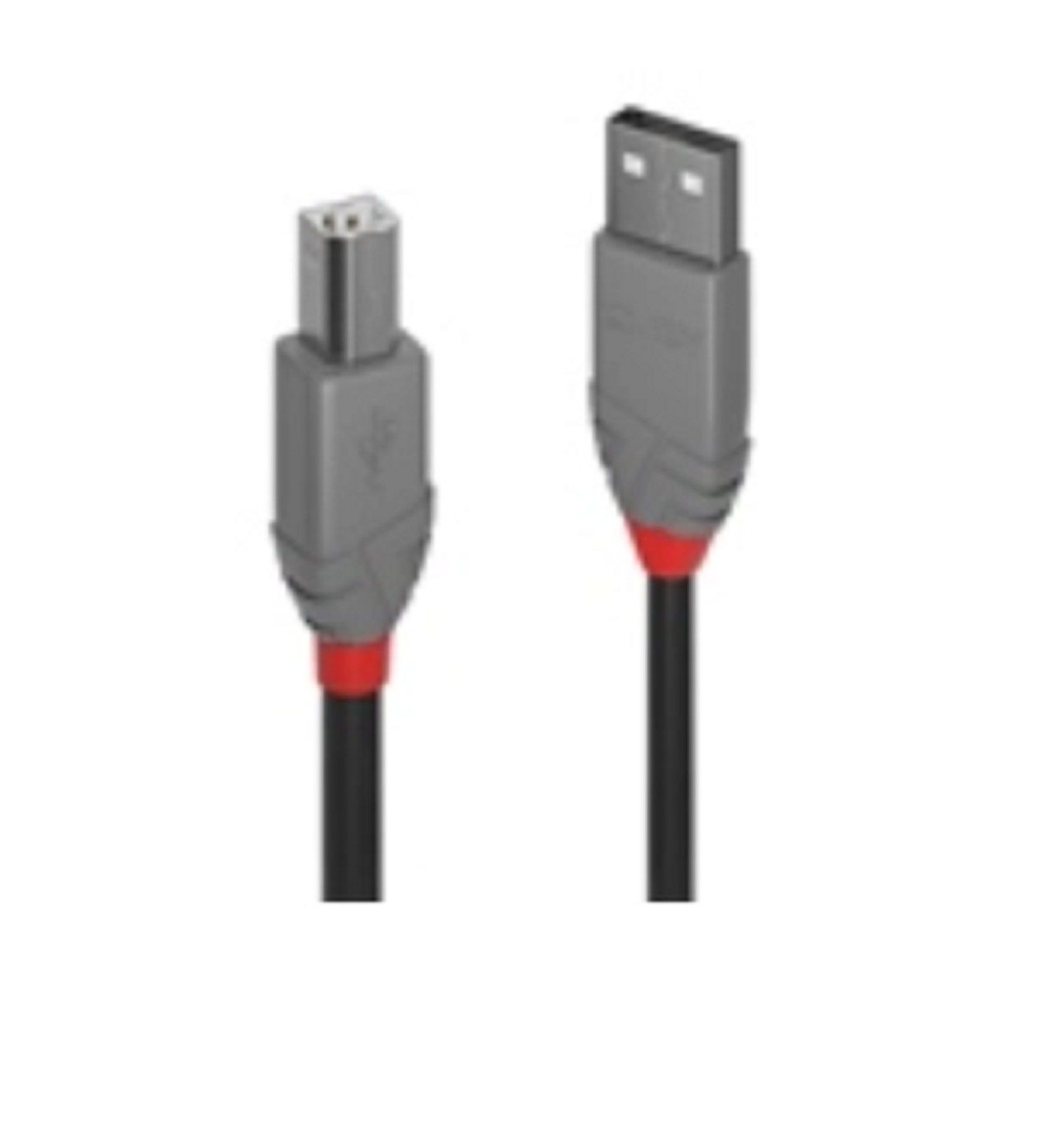 USB A to B cable rental